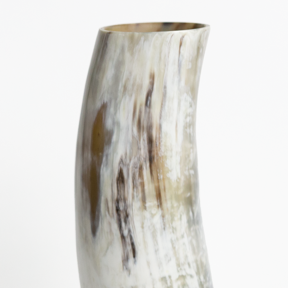 Massive Horn Vase