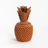 Terracotta Piña Vase