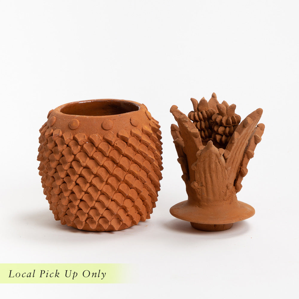 Terracotta Piñas with Lid