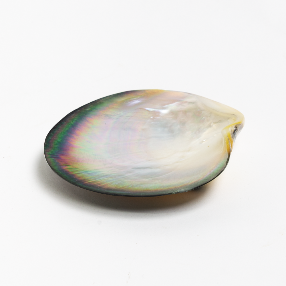 Mother of Pearl Dish