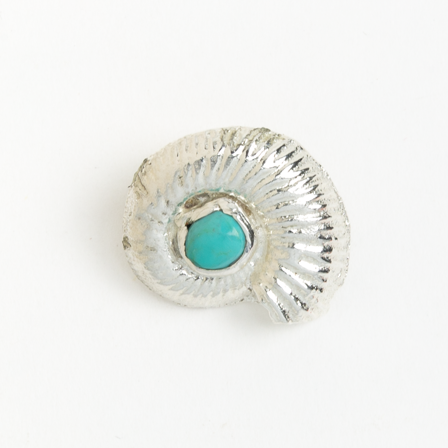 Turquoise Ammonite Hat Bolo