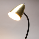 Brass Gooseneck Lamp
