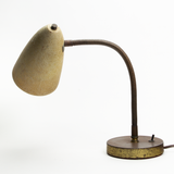 Fiberglass Shade Gooseneck Lamp