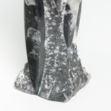 Fossolized Orthoceras Sculpture