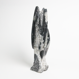 Fossolized Orthoceras Sculpture