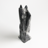 Fossolized Orthoceras Sculpture