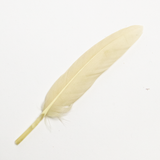 Cream Goose Feather