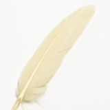 Cream Goose Feather