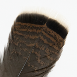 Short Turkey Tail Feather