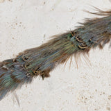 Feather Hat Band - Blue Reeves