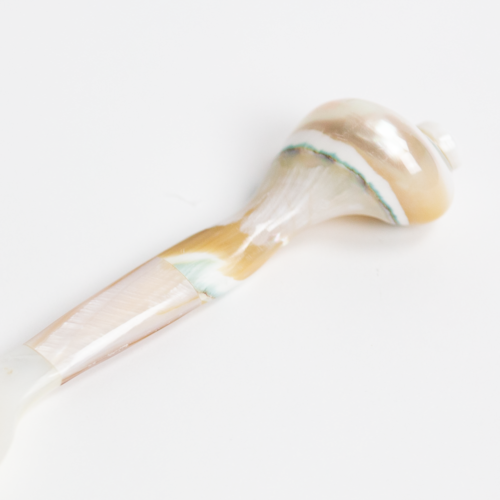 Whorl Shell Spoon