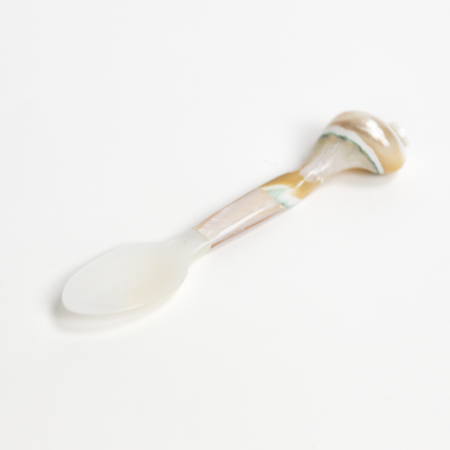 Whorl Shell Spoon