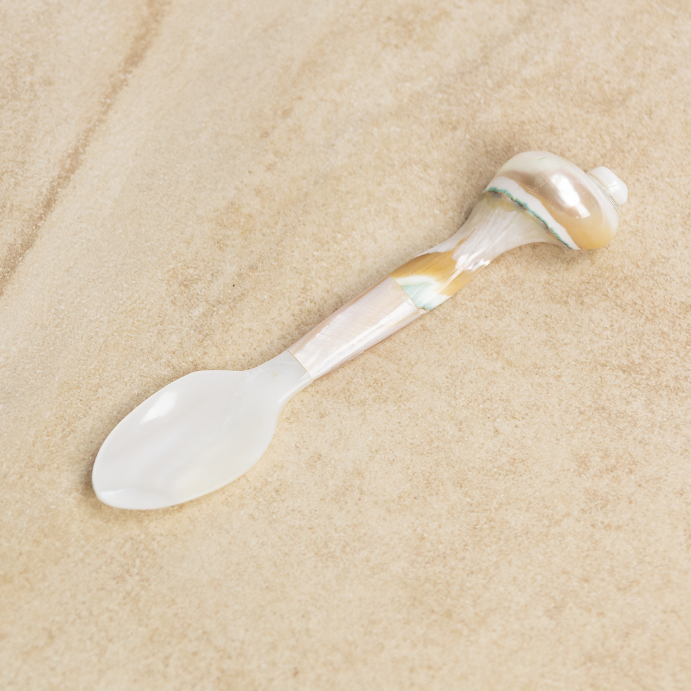 Whorl Shell Spoon