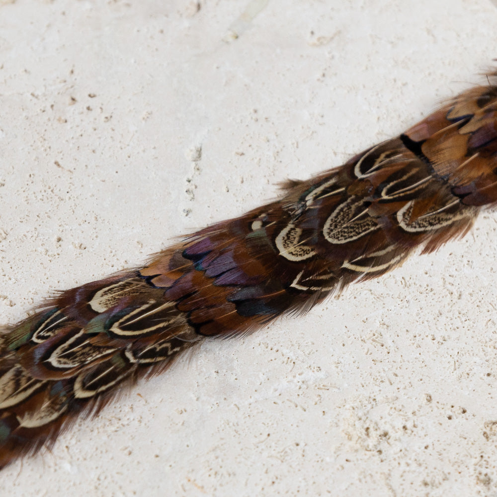 Feather Hat Band - Brown Reeves – Maufrais-Austin display picture 2