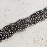 Feather Hat Band - Guinea Fowl