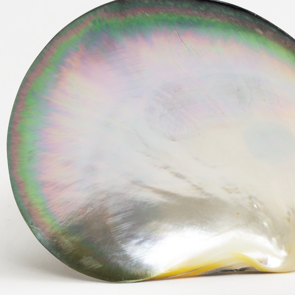 Mother of Pearl Dish