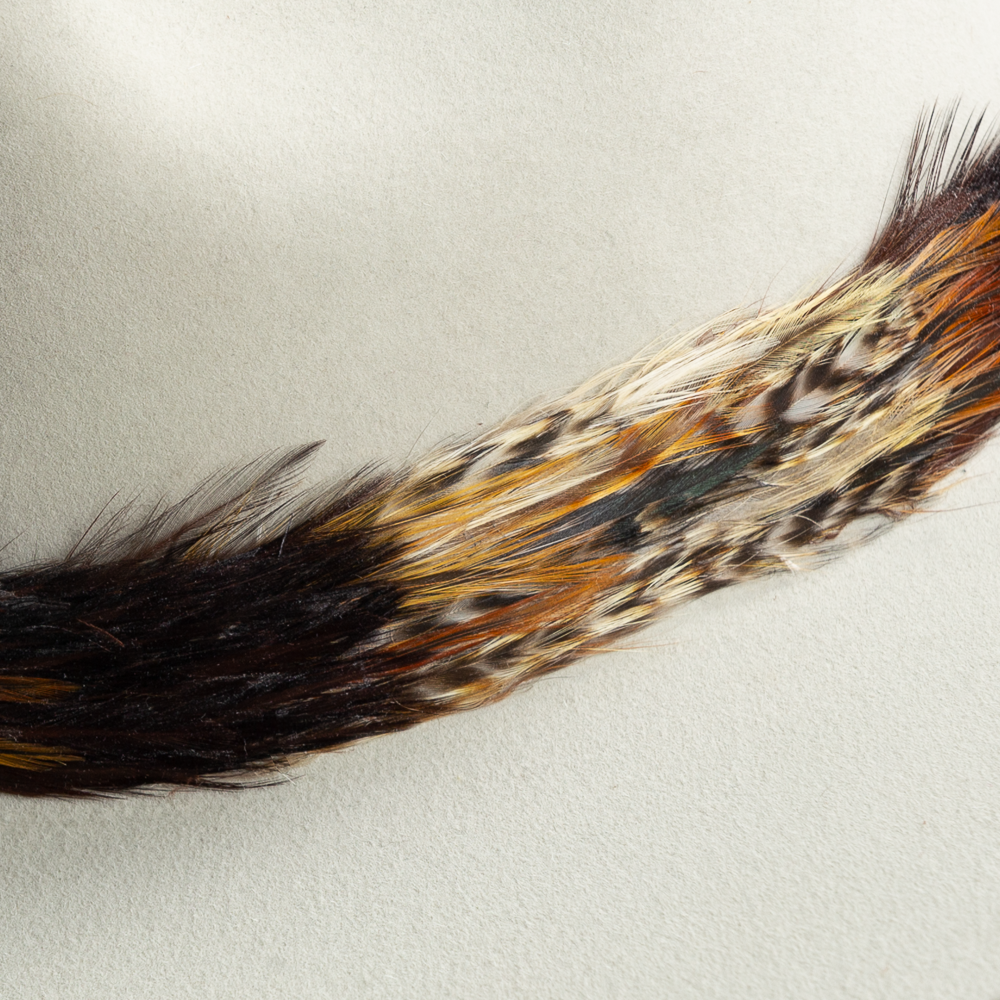 Feather Hat Band - Gold Rooster