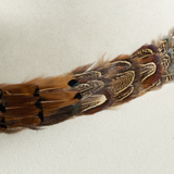 Feather Hat Band - Brown Reeves