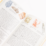 A Golden Guide: Rocks and Minerals