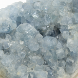 Celestite Geode Quartz Crystal #1