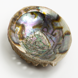 Abalone Shell Dish
