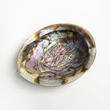 Abalone Shell Dish