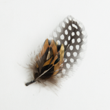 Guinea Fowl & Pheasant Feather Bundle