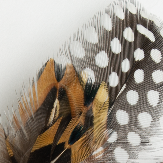 Guinea Fowl & Pheasant Feather Bundle