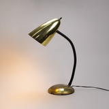 Brass Gooseneck Lamp