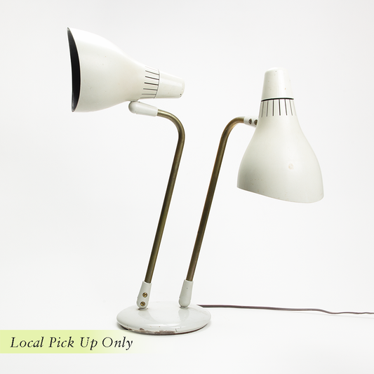 Adjustable Double Head Lamp