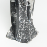 Fossolized Orthoceras Sculpture