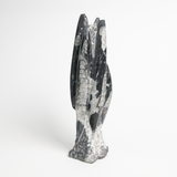 Fossolized Orthoceras Sculpture