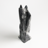 Fossolized Orthoceras Sculpture