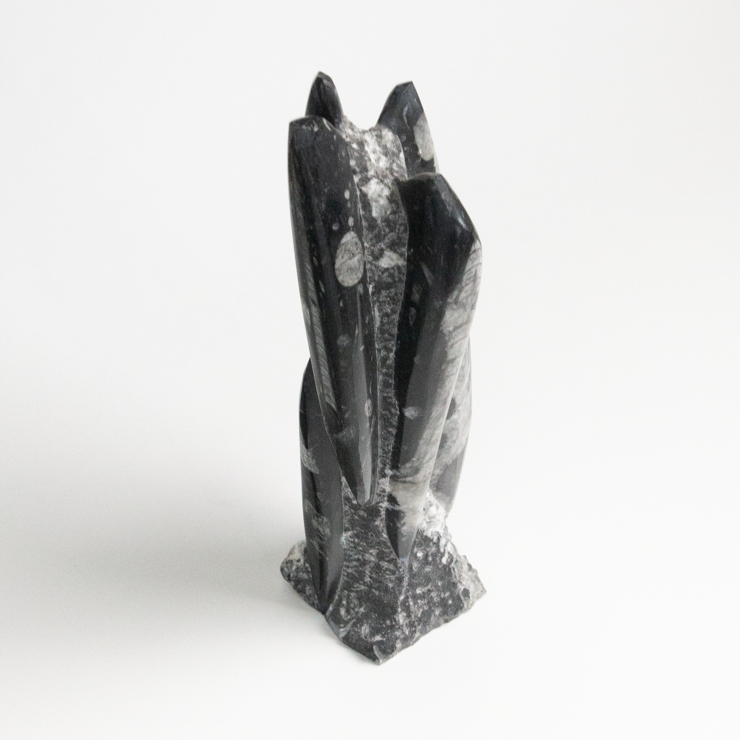 Fossolized Orthoceras Sculpture