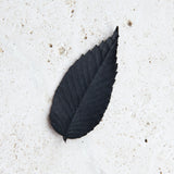 Hako Black Leaf Incense - Relax